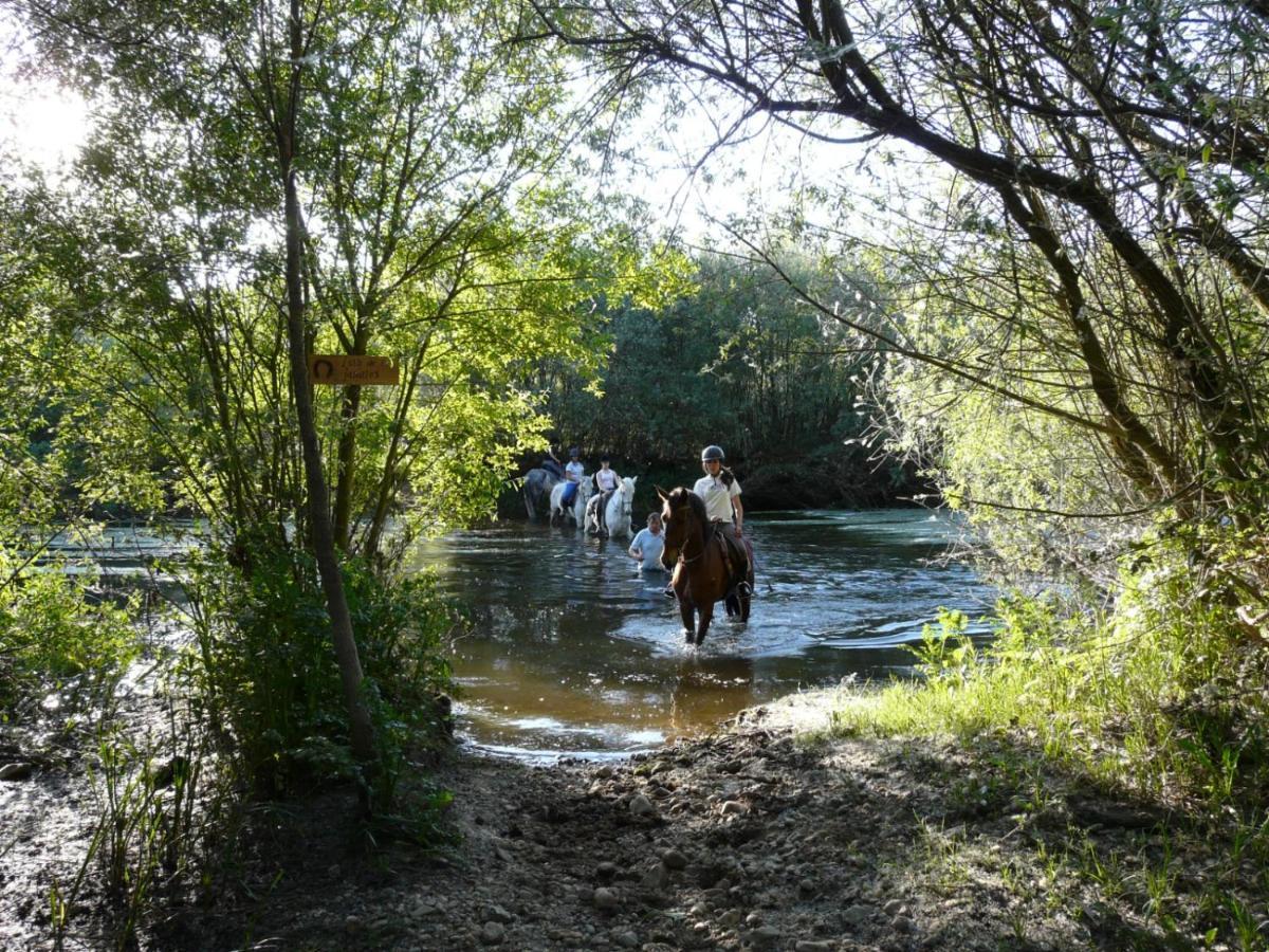 Complejo Oasis Beach Sobre El Rio Huerta  Exterior photo